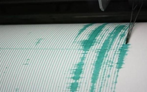 У берегов Камчатки произошло несколько землетрясений